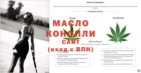 каннабис Богданович