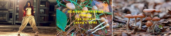 мяу мяу кристалл Богородск