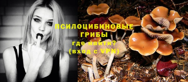 винт Богородицк