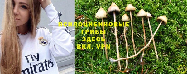 каннабис Богданович