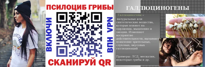 MEGA ТОР  Санкт-Петербург  Галлюциногенные грибы мухоморы  сколько стоит 