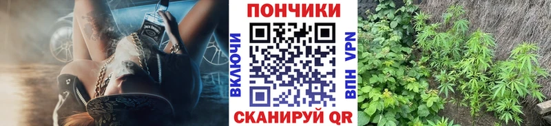 Бошки марихуана конопля  Санкт-Петербург 